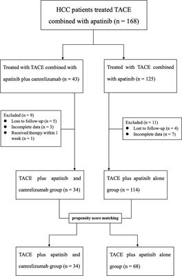 Transarterial chemoembolization plus apatinib with or without camrelizumab for unresected hepatocellular carcinoma: A two-center propensity score matching study